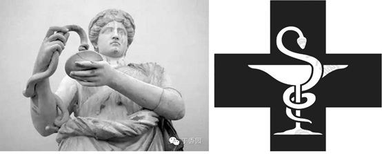 做梦梦到很多蛇在身上爬怎么解，探索梦境中的神秘符号