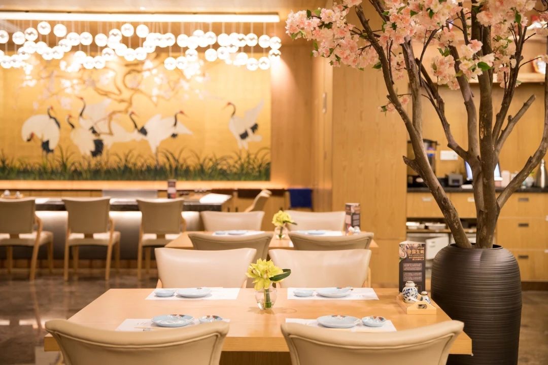 梦境电梯，向上攀登的寓意与解析