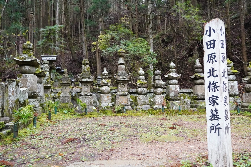 梦回坟墓深处，解读梦中蛇被击毙的寓意与启示