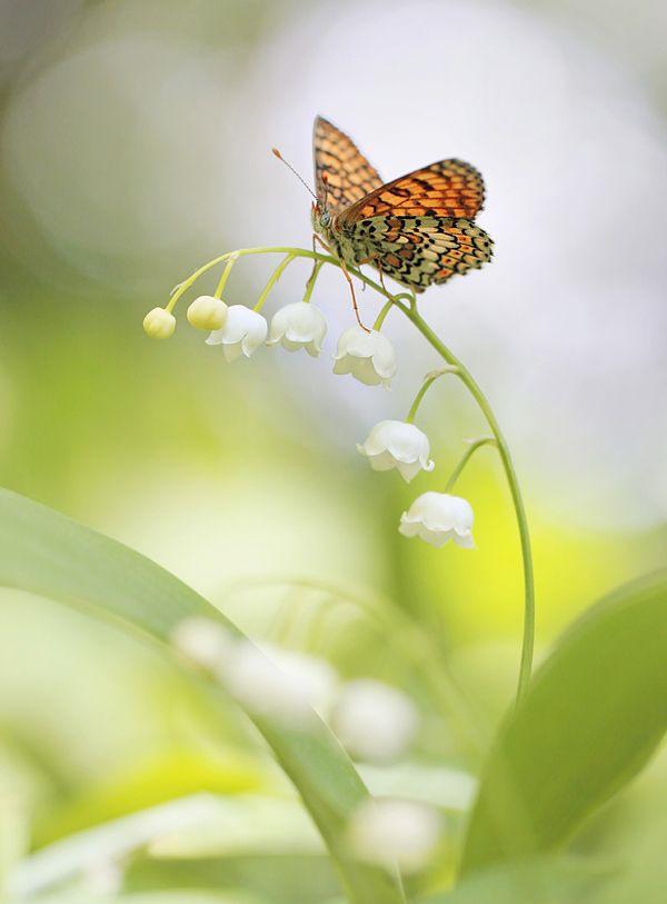 爸爸已经去世了，为何又梦到爸爸去世？梦境背后的深层含义与心理解析