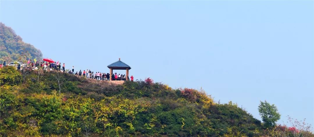 梦见他人失齿，解读梦境中的象征与启示