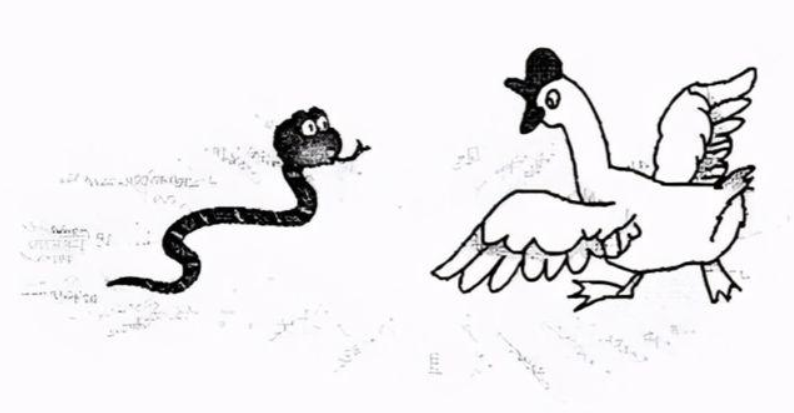 梦境的深邃，解析梦见蛇与老虎看着我的神秘意象