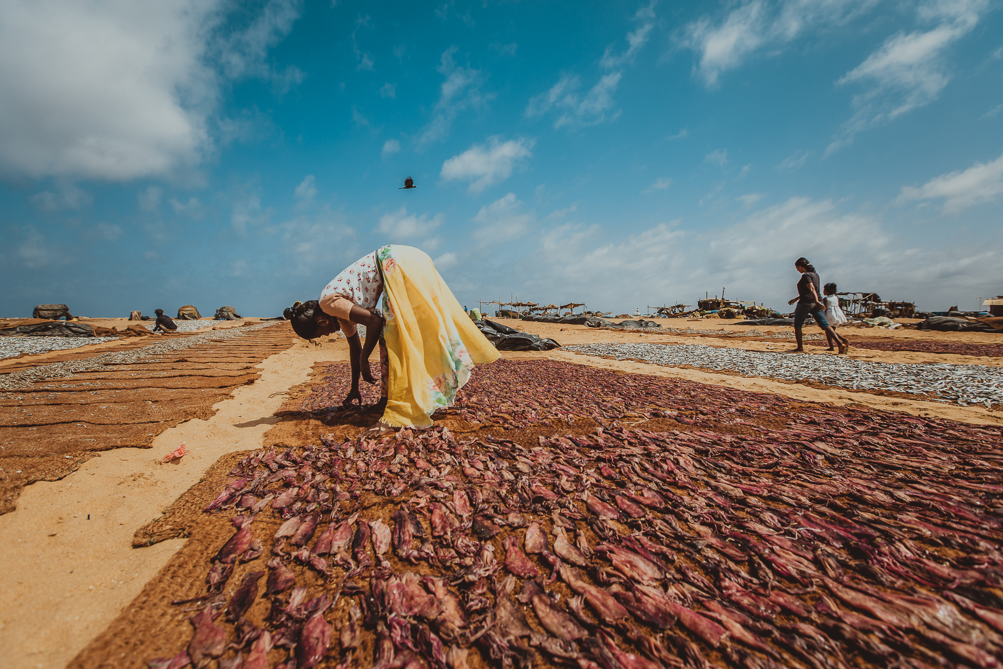 梦境之河，捕捉生活之鱼的寓意解析