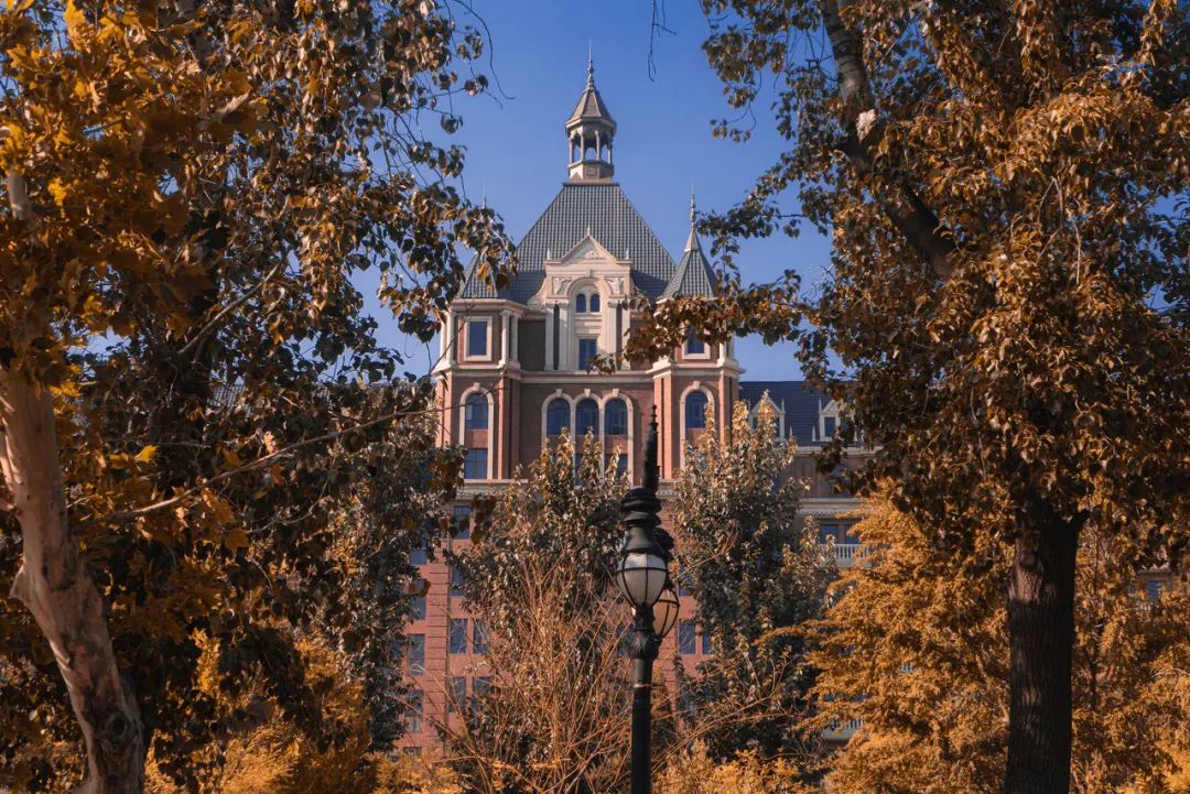 梦回高楼，父亲的墓地与内心世界的对话