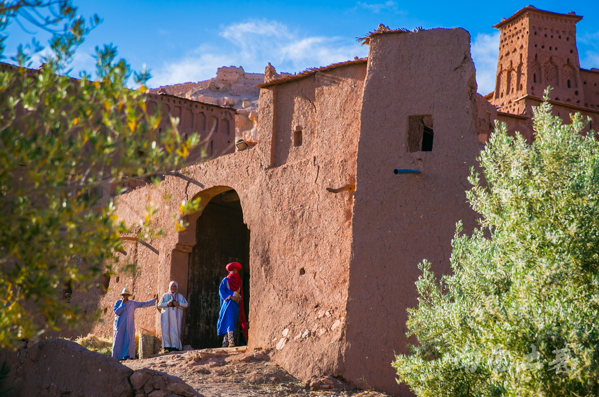 梦回往昔，与已故父亲并肩归家的温暖幻象