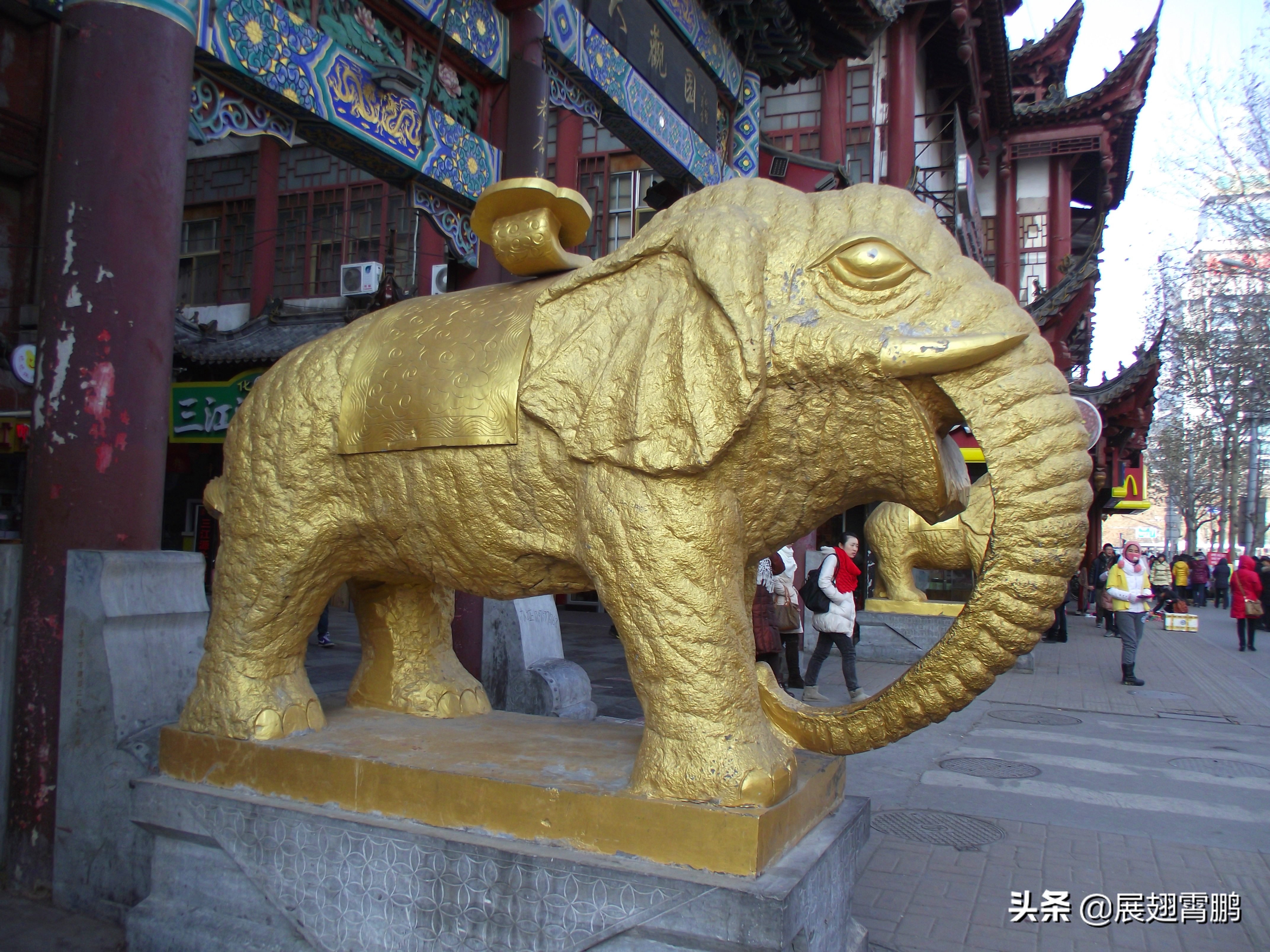 梦境中的龙子，父母梦到龙对孩子未来的启示与影响