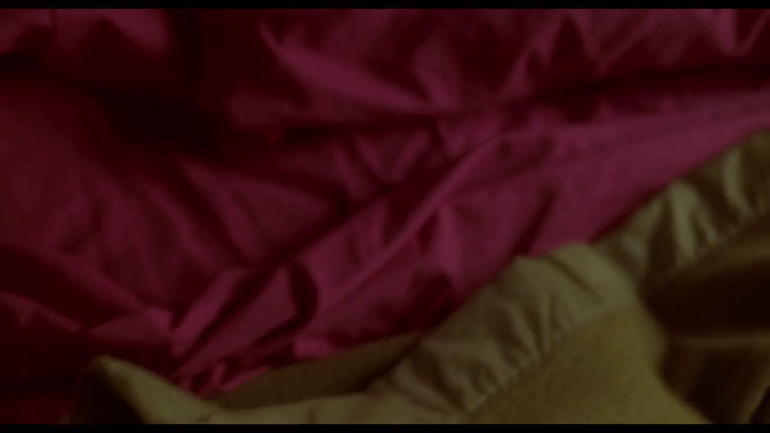 梦境解析，梦到有人抓牛意味着什么？