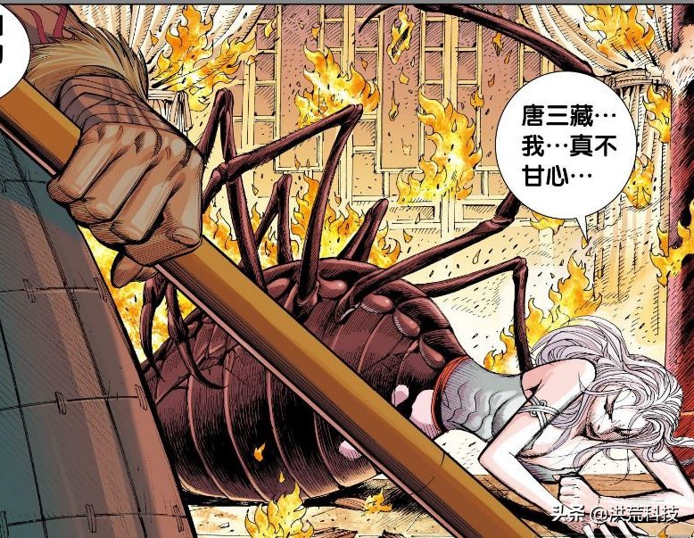 梦到蜘蛛，探索梦境背后的深层含义