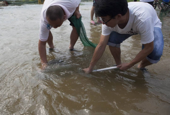 孕期奇梦，怀孕40天多梦见两小男孩抓鱼的寓意与解析