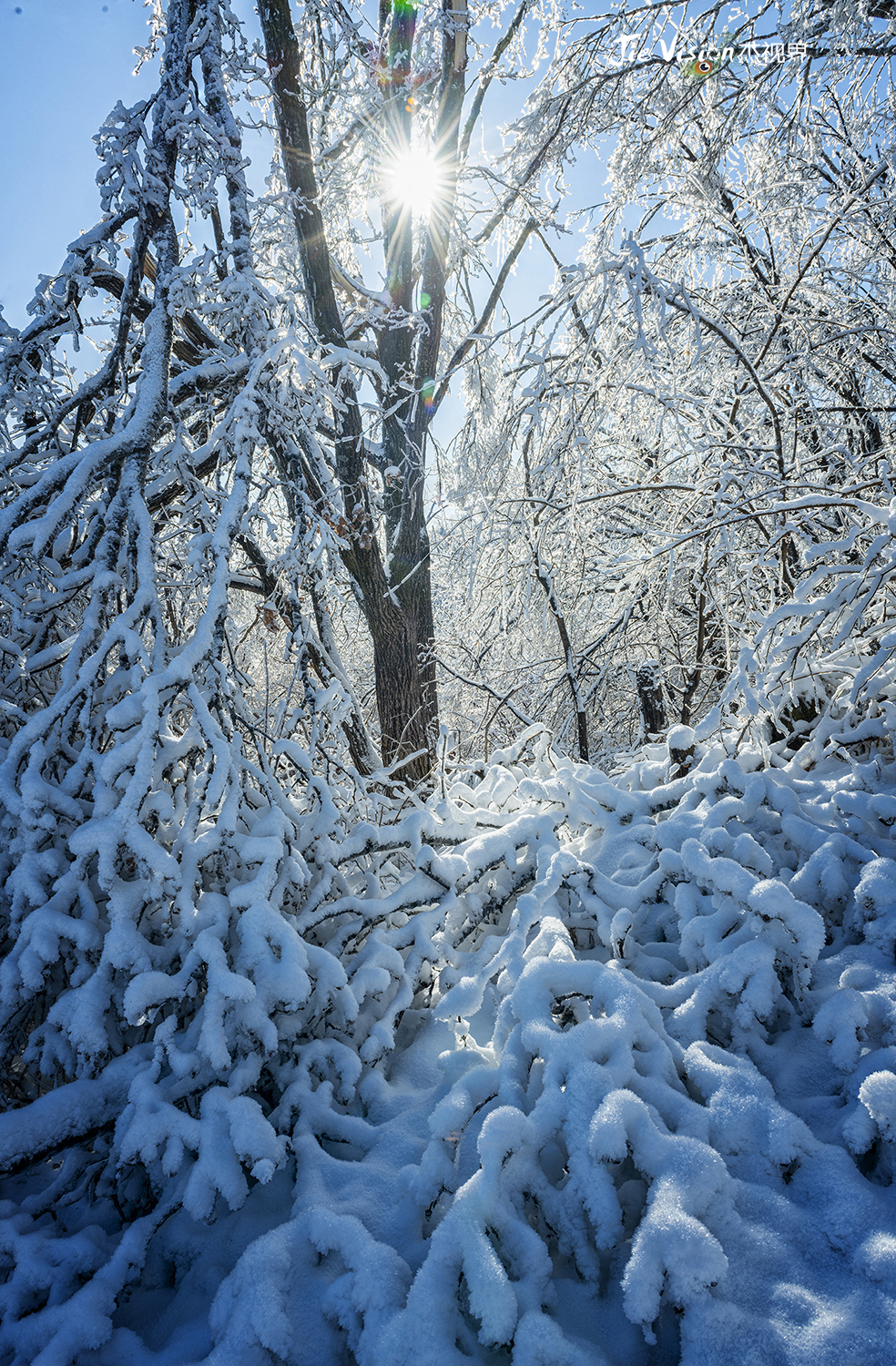 孕妇梦见杯子，寓意与解读
