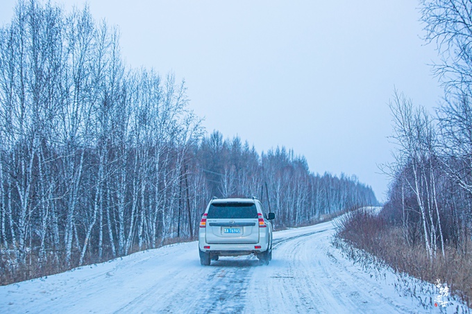 梦到鱼，探索梦境中的神秘象征与深层含义