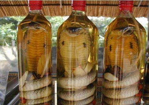 男人做梦梦到蛇钻进瓶子里，潜意识深处的警示与启示