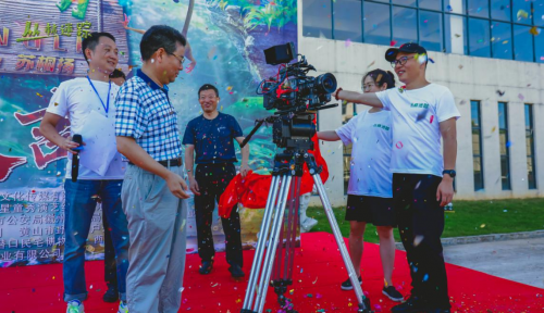 梦境迷踪，解析梦见很多猫的深层含义与心理暗示