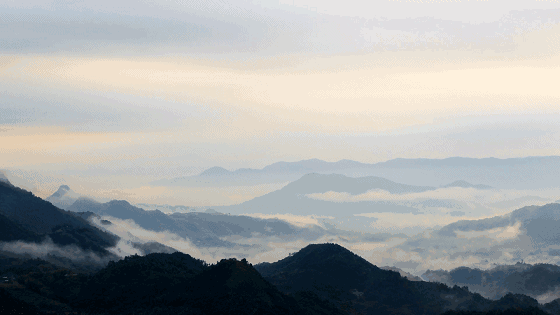 梦境的启示，解析梦见自己刚盛到杯子里的饭被人扔了的深层含义