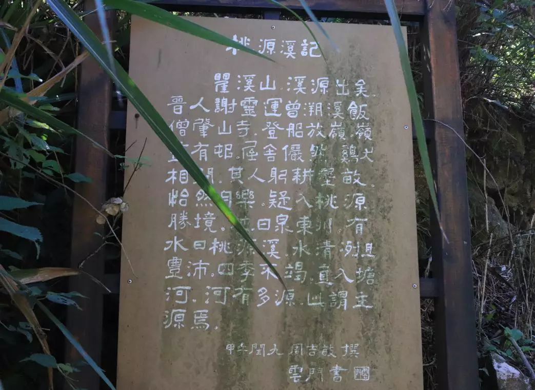 梦境中的奇遇，与逝去亲人同乘一车，共话往昔