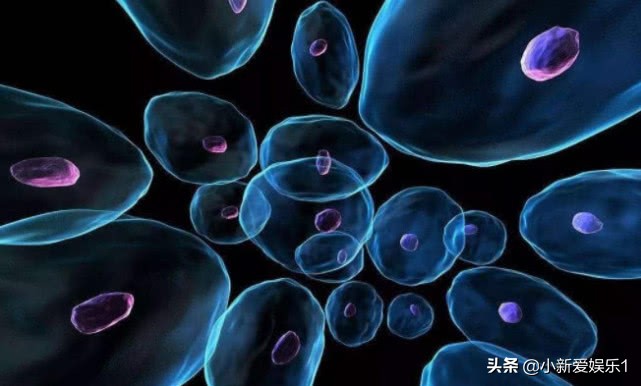 天天晚上梦到那个女孩，如何解读与应对梦境的困扰
