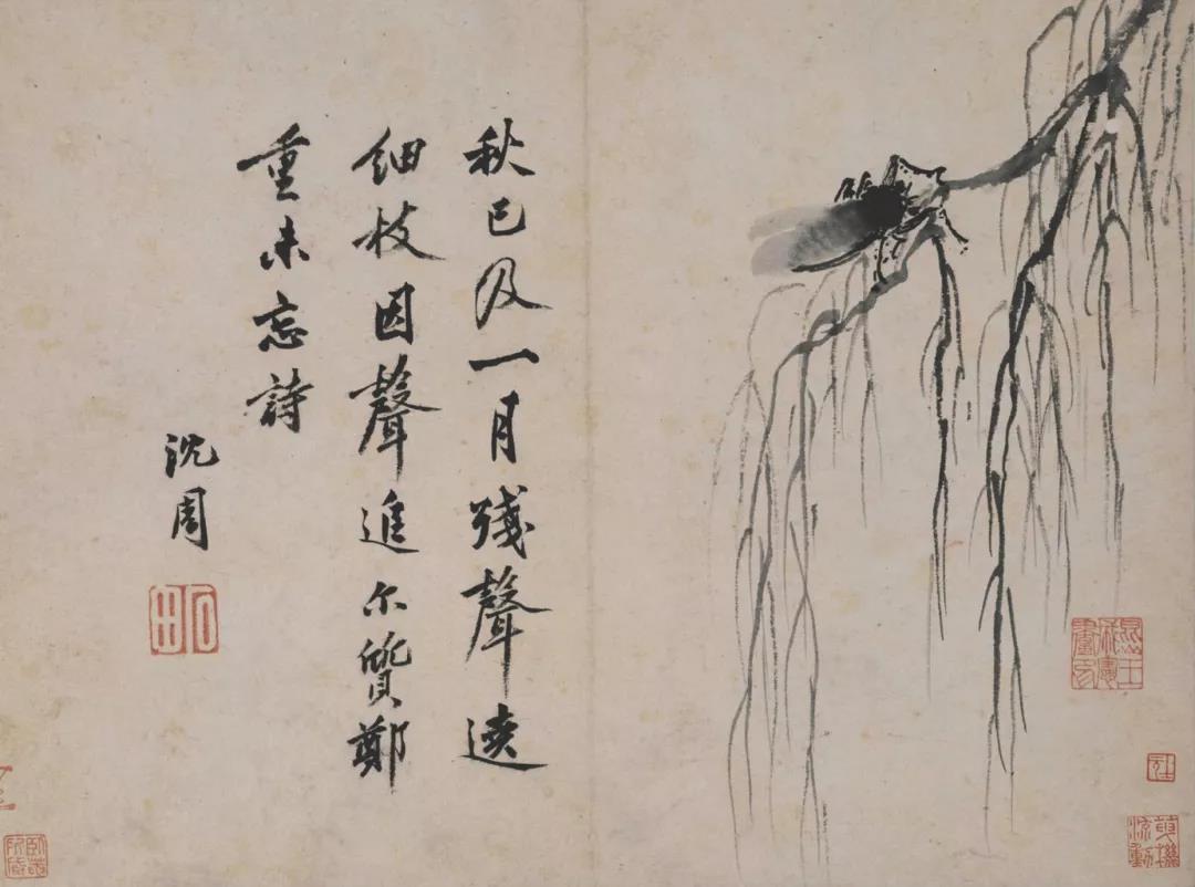 梦到蝉，生命循环与内心觉醒的隐喻之旅