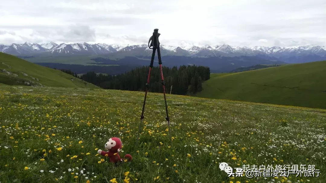 睡袋十大品牌排行榜，揭秘户外探险的必备神器