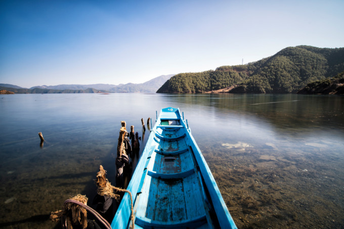 梦境中的和谐共处，梦见与众人一同放羊的深层解读