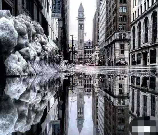 梦到了3只猫求解梦，探寻梦境背后的深层含义与心理启示