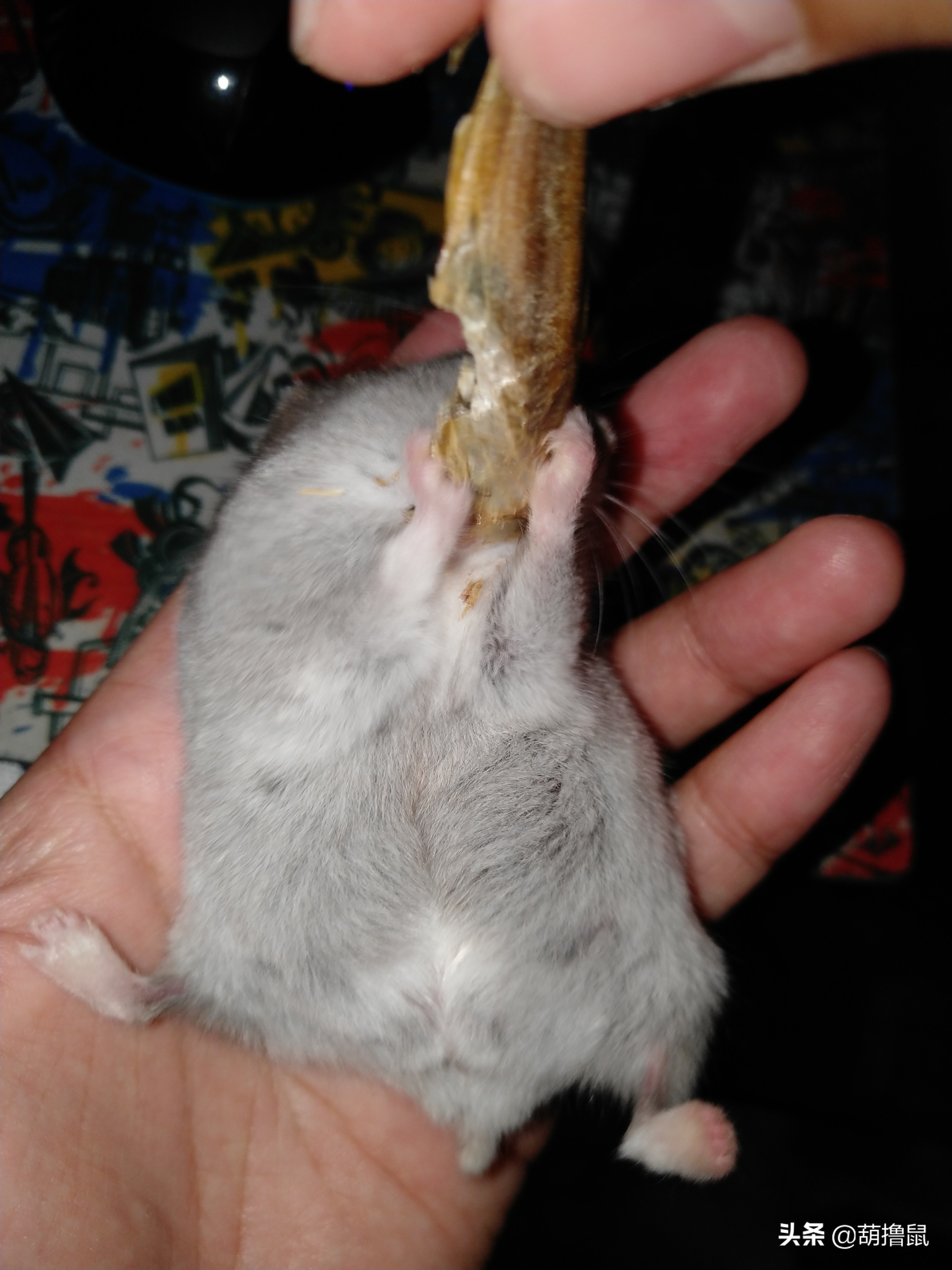 在梦里做梦，梦到自己怀孕，是何种预兆？