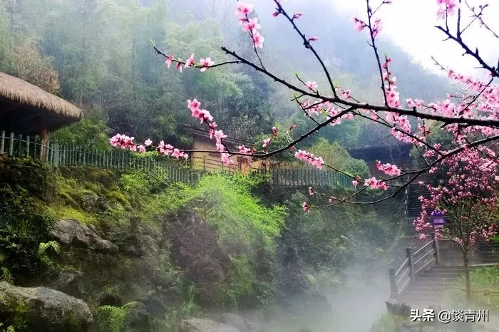 梦境捕鱼，深藏的寓意与心理解析