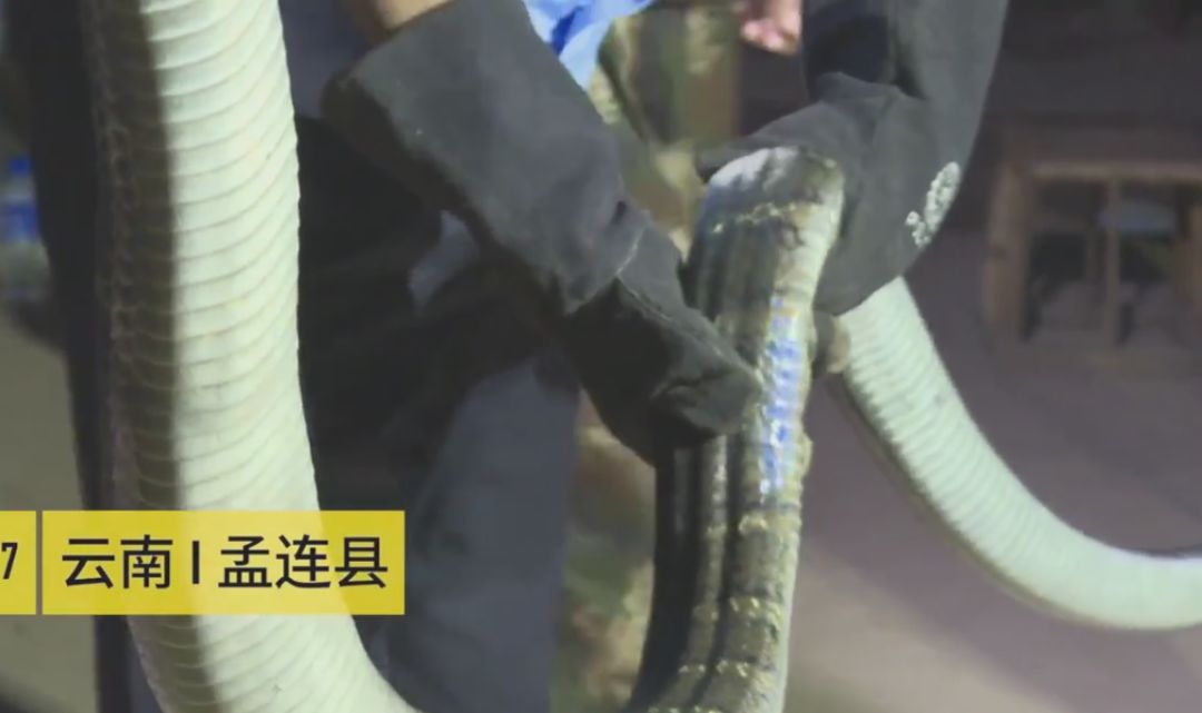 周公解梦，卖一车鸡未称重之谜