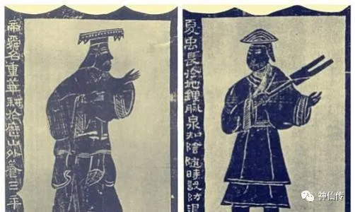 梦见小鸟在水中游，梦境与现实的交织