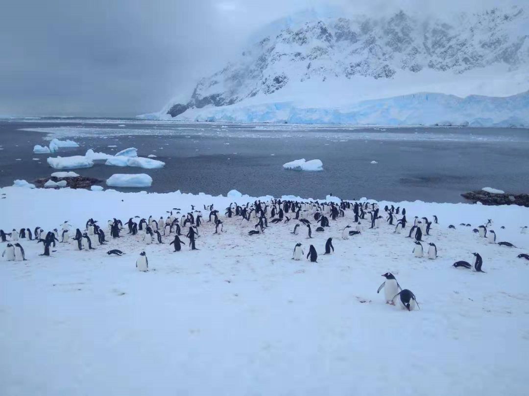 梦境的惊险之旅，解析梦到自己被人不小心从三楼掉下去但没摔死的深层含义