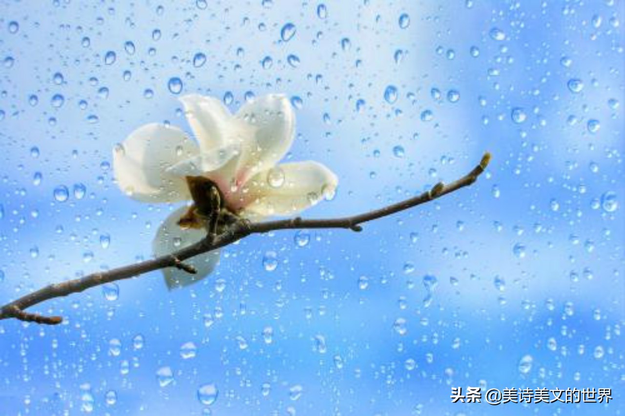 梦见已故亲人坐在床上，一场跨越生死的温柔对话