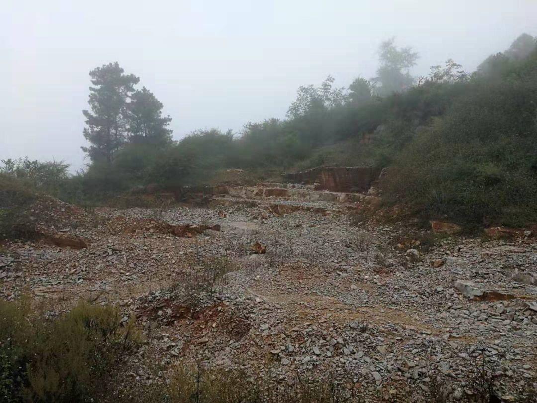 与逝去外婆同行的上坡之路，一场梦境中的温情重逢
