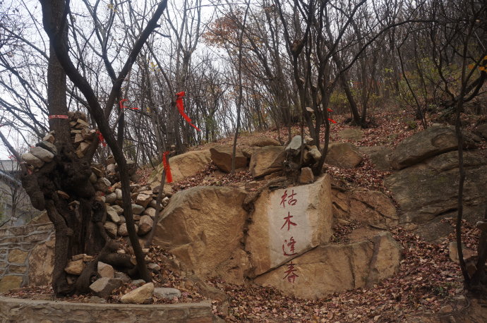 梦游清池，解析梦见很大一个池塘，水清见底且有鱼的深层含义