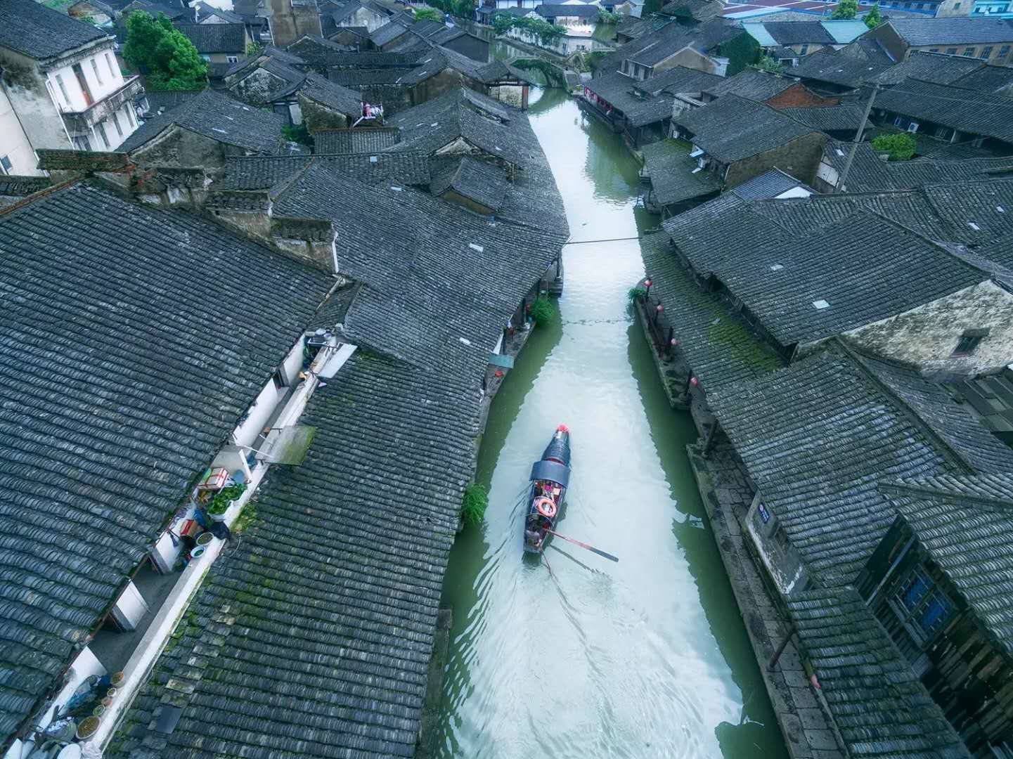 梦境交织，与女友共杀他人之犬的深层解析