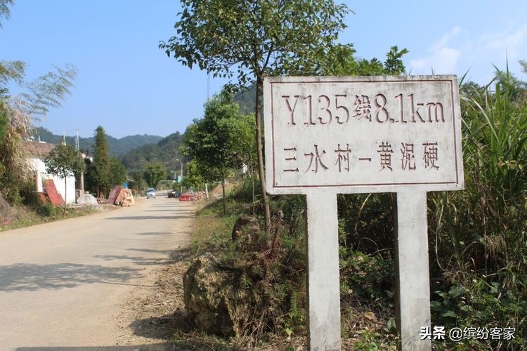 梦境解析，老屋残影与蛇群之舞