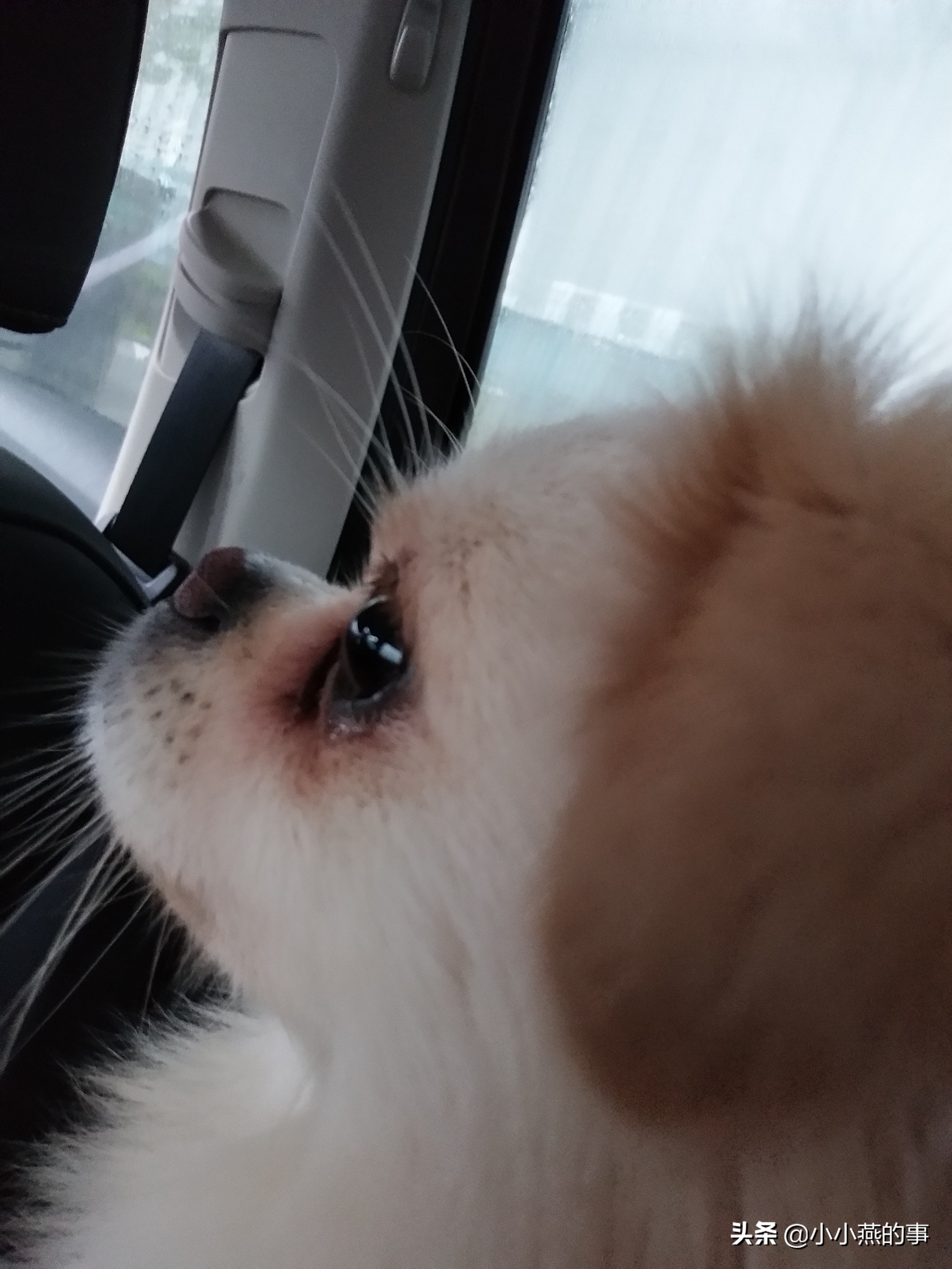 雨后梦境，与同事共钓的寓意深渊——解梦我在鱼塘的丰收与友人的空手而归