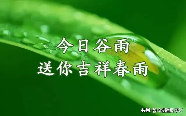 雨落心田，梦回深处，父子情深——解读梦见我和爸爸被雨淋的深层含义