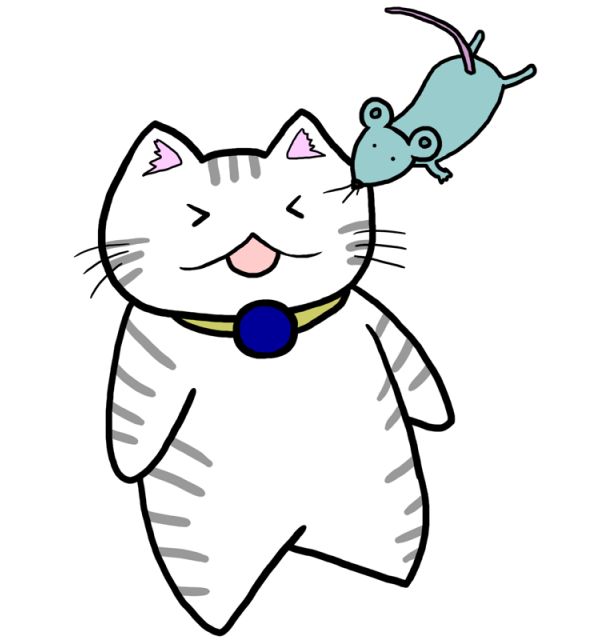 女人梦见猫抓老鼠后老鼠反咬自己，梦境背后的深层含义与解析
