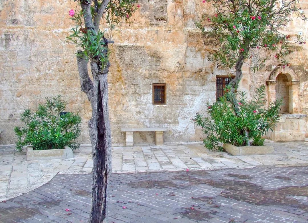 梦境解析，昨晚梦见自己的老公和别的女人上床——情感与心理的深层探索