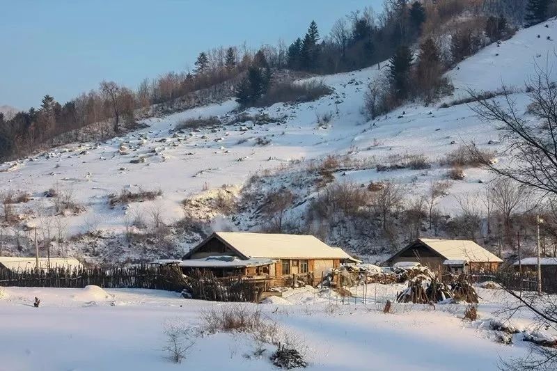 梦境中的静默对话，与逝去亲人心灵相通的奇妙旅程