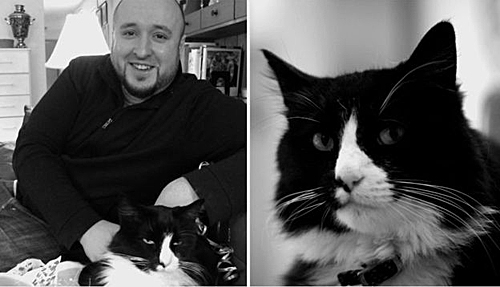 梦境回溯，重返童年的温馨与猫咪的神秘共舞——解梦梦见好多猫咪，住在小时候的家里