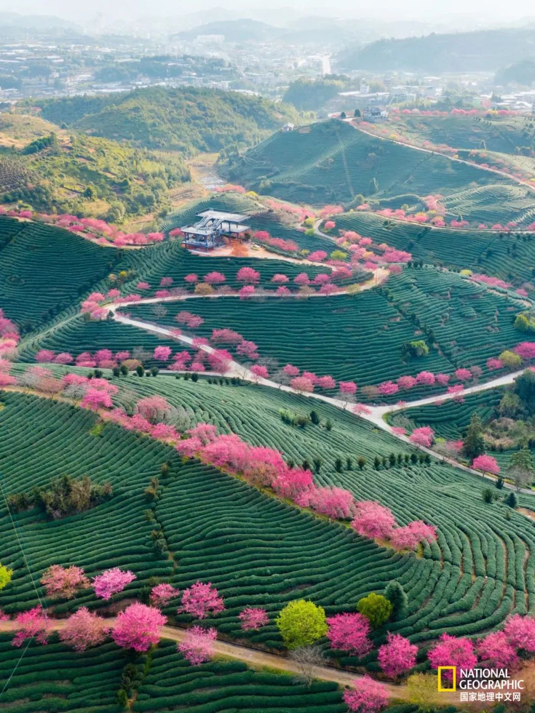 探索梦境边缘，一个关于死亡与重生的奇妙旅程