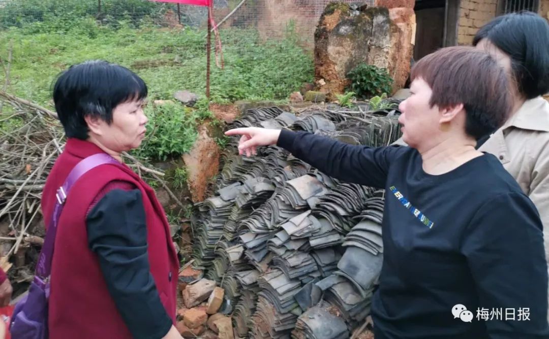 梦境解析，我梦见我妹妹掉了四颗牙被虫吃掉了他哭了