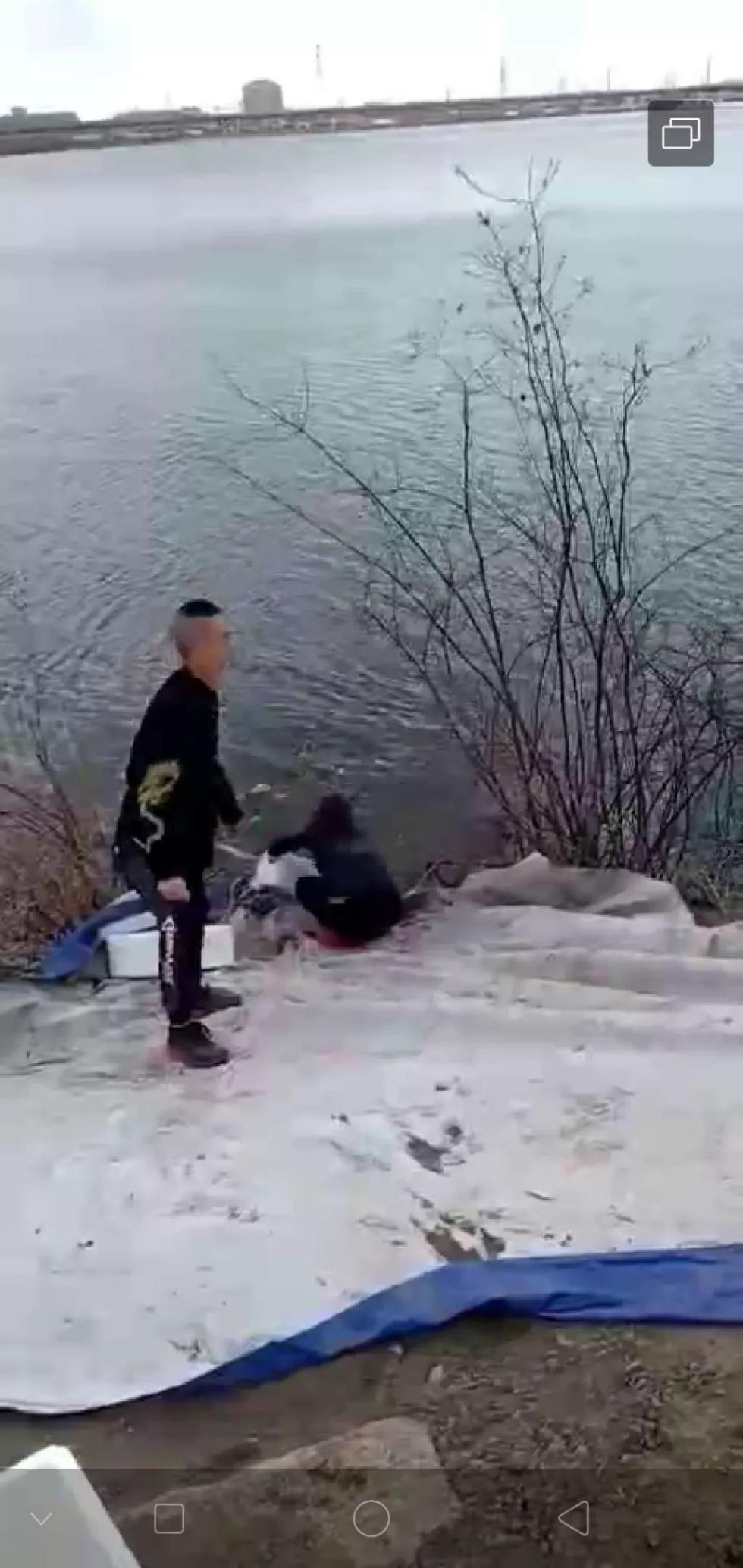 梦见螃蟹，探索梦境背后的预兆与启示