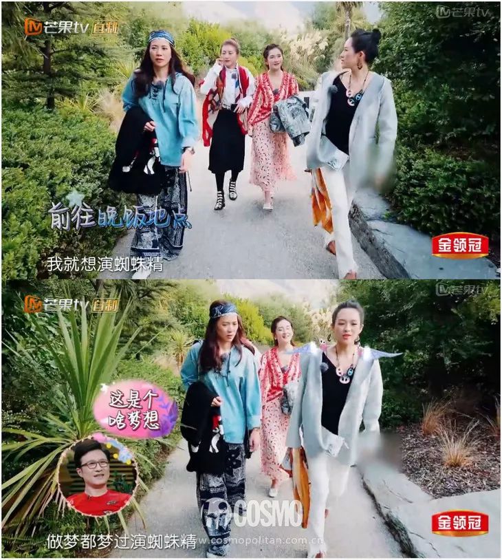 昨晚梦见大蜘蛛咬我，梦境背后的深层解析与心理启示