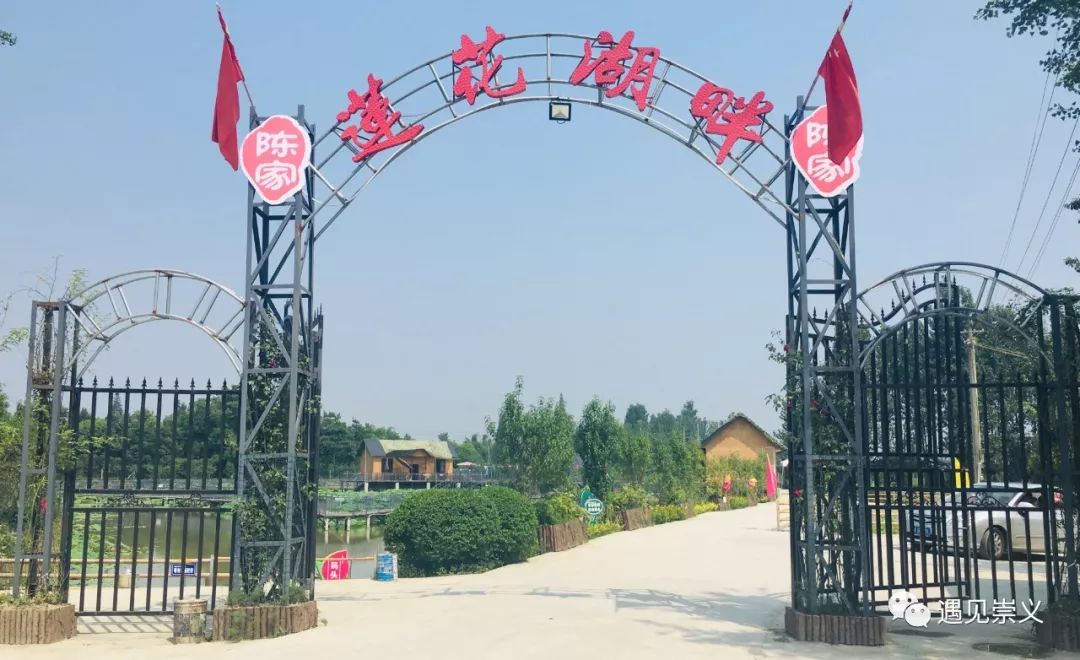 梦回湖畔，钓得人生真谛——解析梦境中钓鱼的象征意义