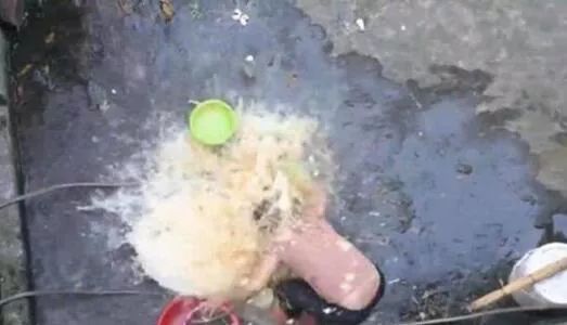 梦见叫买鸡蛋是不是要生气？解读梦境中的微妙预兆