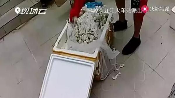 梦见蛇蛋里出来两条蛇一大一小，预示与解析