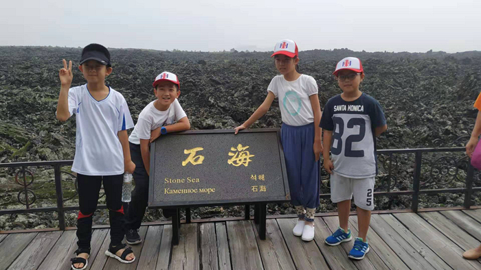 梦回田野，浇灌玉米地中的深意与心灵启示