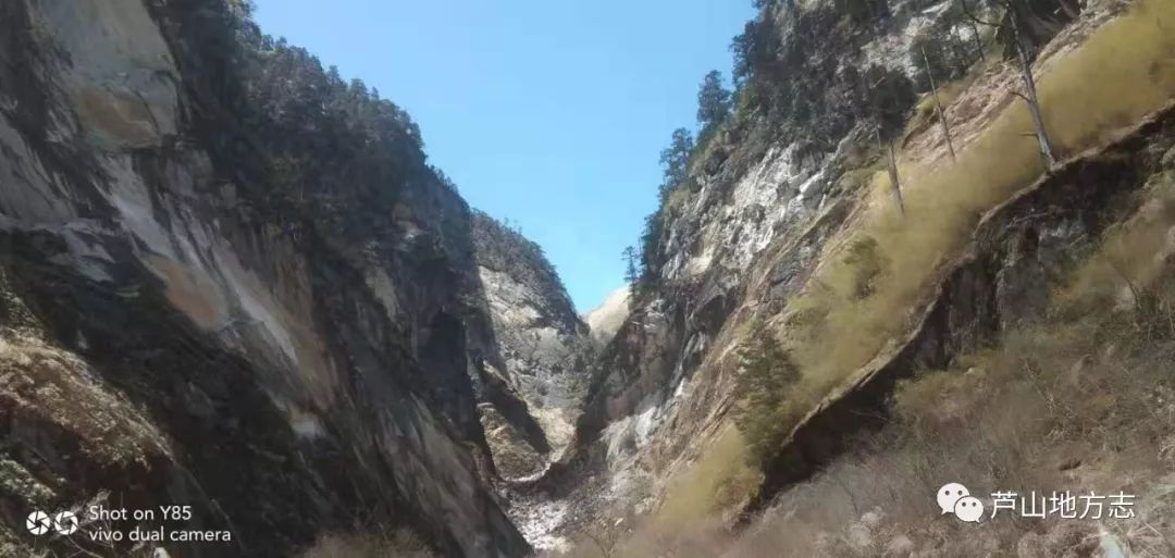 梦见牛追我我跳下很陡的草丛中，解读梦境中的象征与心理寓意