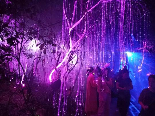 梦境的回响，前男友的分手之梦，究竟在诉说什么？